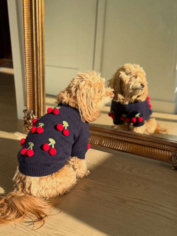 Found My Animal Cherries 3D Icon SweaterPuffers, Hoodies, CoatsFound My AnimalXS