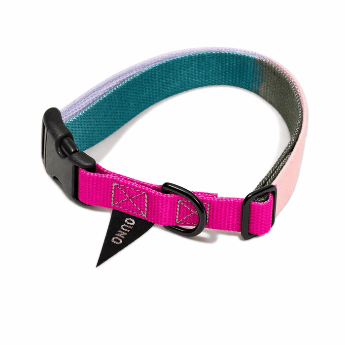 Found My Animal Jolie Flat Web Dog Collar – Matte Black HardwareDog CollarsFound My AnimalXS