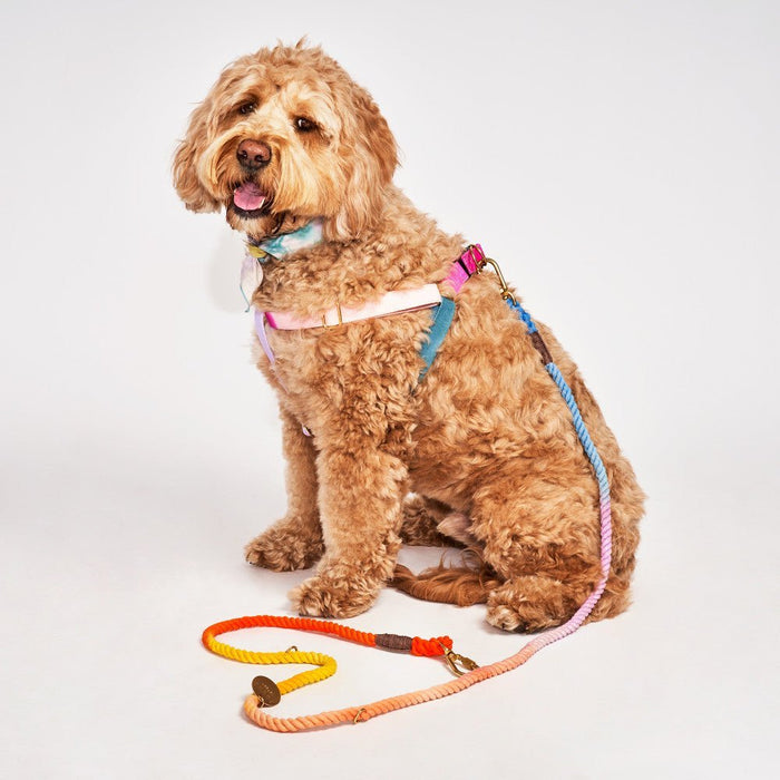 Found My Animal Jolie Webbing Cotton Dog & Cat Harness – Adjustable, Durable & StylishDog & Cat HarnessesFound My AnimalXS