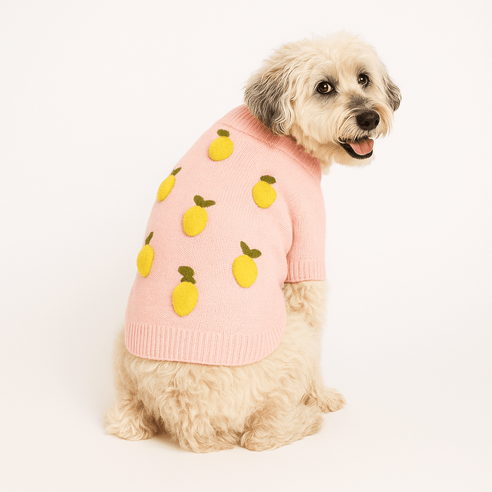 Found My Animal Lemon 3D Icon SweaterPuffers, Hoodies, CoatsFound My AnimalXS