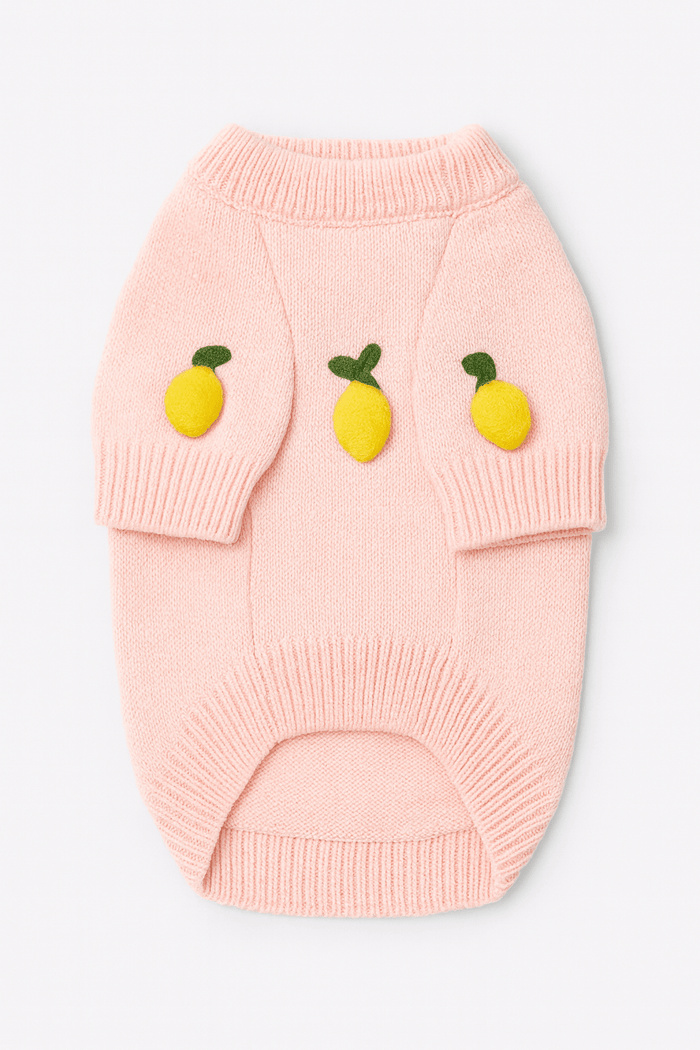 Found My Animal Lemon 3D Icon SweaterPuffers, Hoodies, CoatsFound My AnimalXS