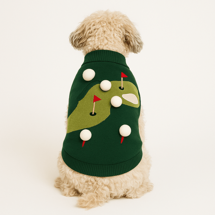 Found My Animal Let's Play Golf SweaterPuffers, Hoodies, CoatsFound My AnimalXS