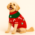 Found My Animal Peppermint Candy 3D Icon SweaterPuffers, Hoodies, CoatsFound My AnimalXS