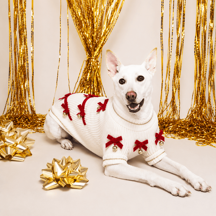 Found My Animal Red Ribbon Dog Sweater (Pre Order for September 26th Delivery)Puffers, Hoodies, CoatsFound My AnimalXS