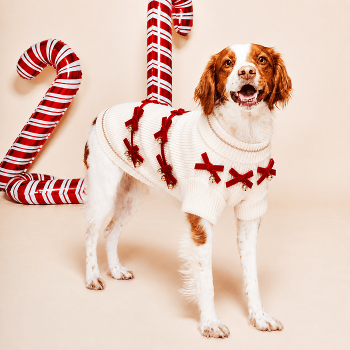 Found My Animal Red Ribbon Dog Sweater (Pre Order for September 26th Delivery)Puffers, Hoodies, CoatsFound My AnimalXS