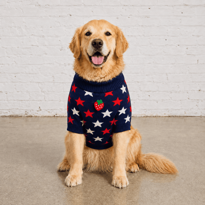 Found My Animal Star SweaterPuffers, Hoodies, CoatsFound My AnimalXS