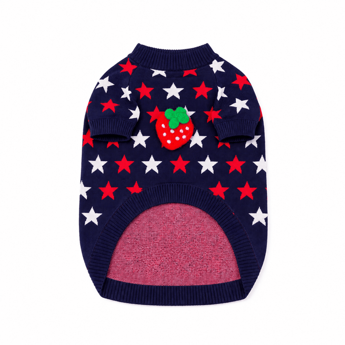 Found My Animal Star SweaterPuffers, Hoodies, CoatsFound My AnimalXS