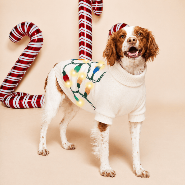 Found My Animal Vintage Lights LED Dog Sweater (Pre Order for September 26th Delivery)Puffers, Hoodies, CoatsFound My AnimalXS