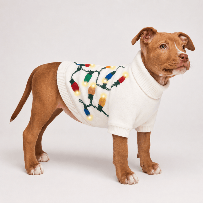 Found My Animal Vintage Lights LED Dog Sweater (Pre Order for September 26th Delivery)Puffers, Hoodies, CoatsFound My AnimalXS