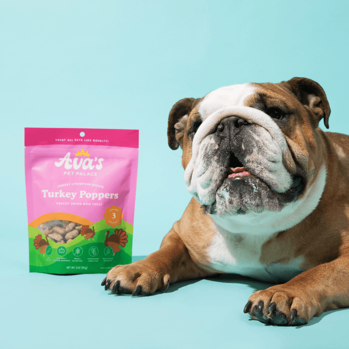Freeze Dried Dog Treats - Turkey PoppersDog TreatsFound My Animal