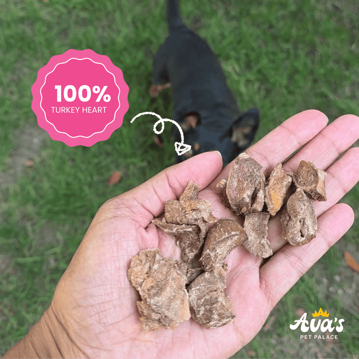 Freeze Dried Hearty Party - Turkey HeartDog TreatsFound My Animal