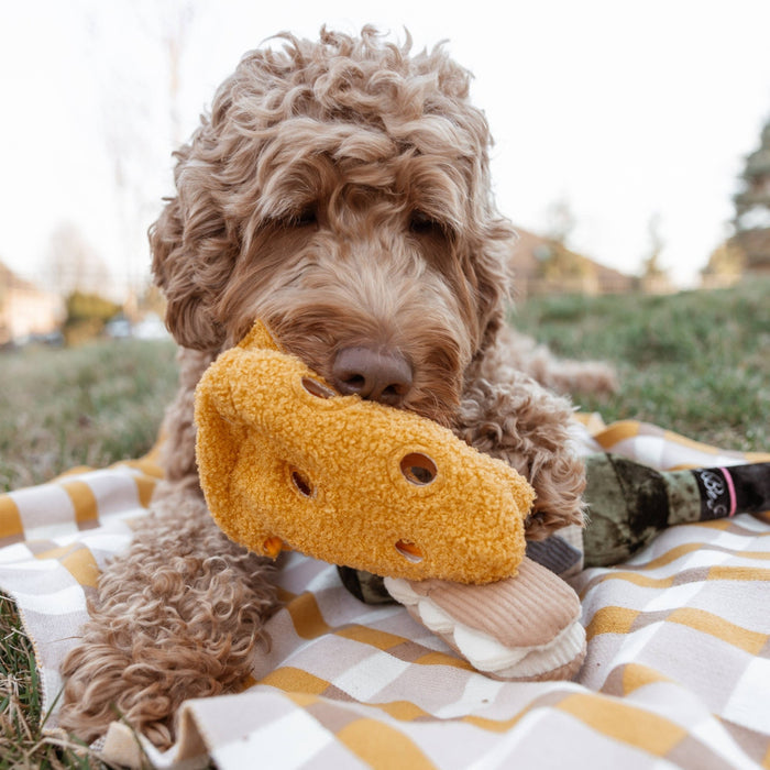 FROMAGE // ENRICHMENT DOG TOY // SNUFFLE TOYToysFound My Animal