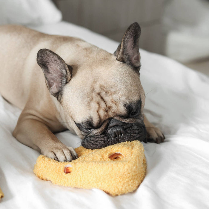 FROMAGE // ENRICHMENT DOG TOY // SNUFFLE TOYToysFound My Animal