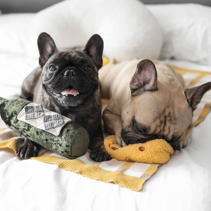 FROMAGE // ENRICHMENT DOG TOY // SNUFFLE TOYToysFound My Animal