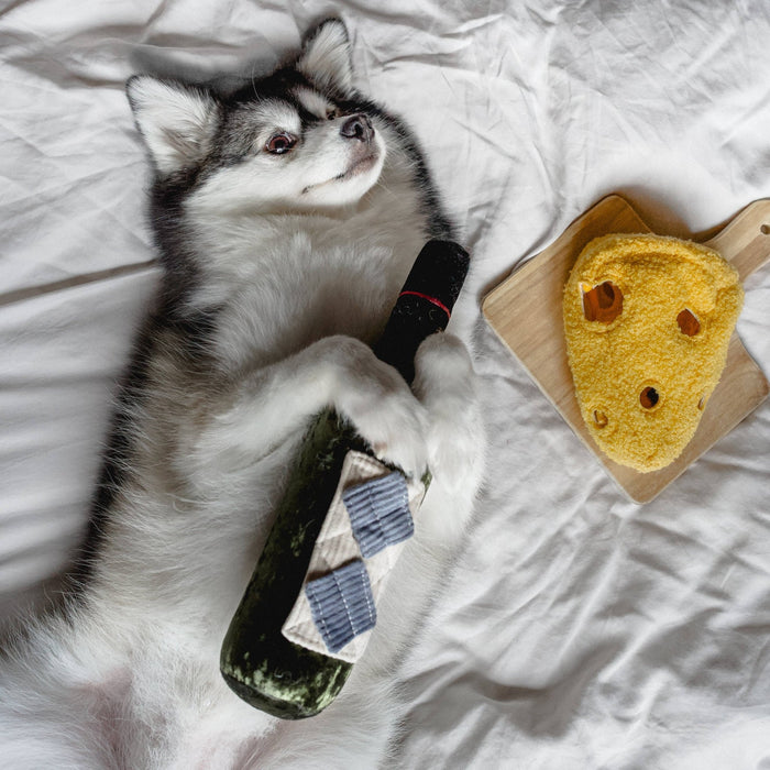 FROMAGE // ENRICHMENT DOG TOY // SNUFFLE TOYToysFound My Animal