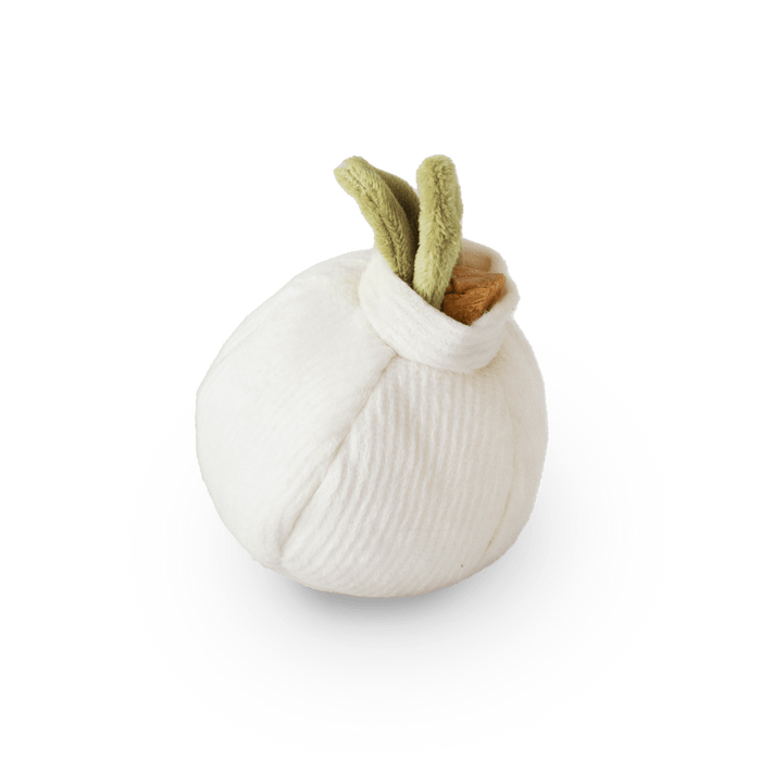 GARLIC POP//ENRICHMENT DOG TOYToysFound My Animal