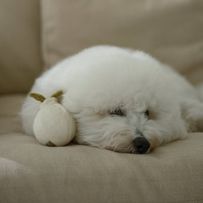 GARLIC POP//ENRICHMENT DOG TOYToysFound My Animal