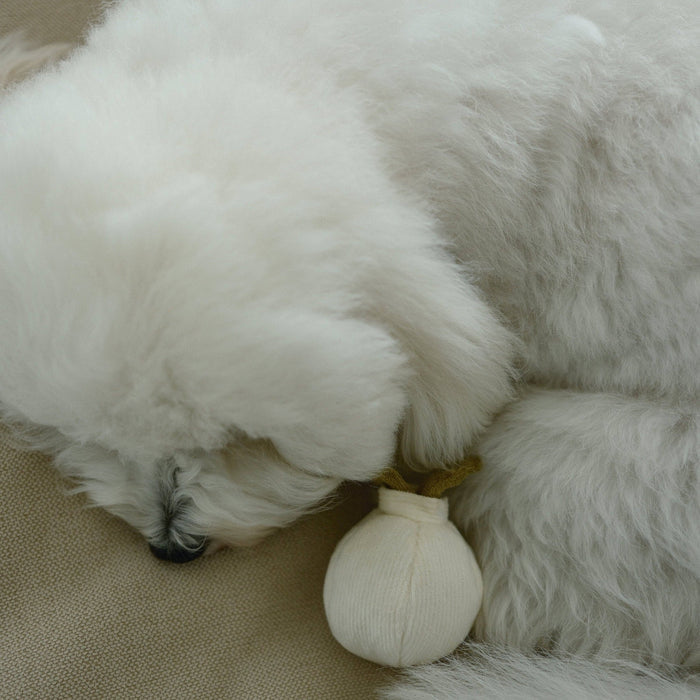 GARLIC POP//ENRICHMENT DOG TOYToysFound My Animal