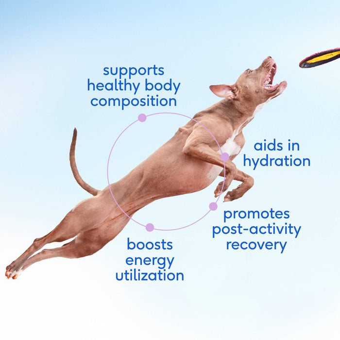 Goat Milk Powder Recovery & Energy Support for Active DogsWellnessFound My Animal14 oz