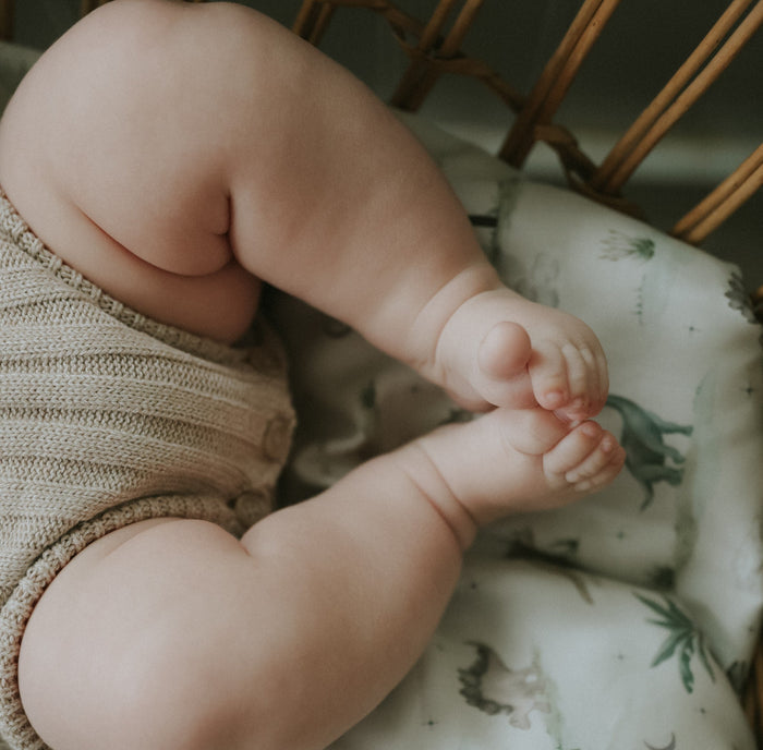 Gooslings Dino Dreams Crib Sheet - Sage