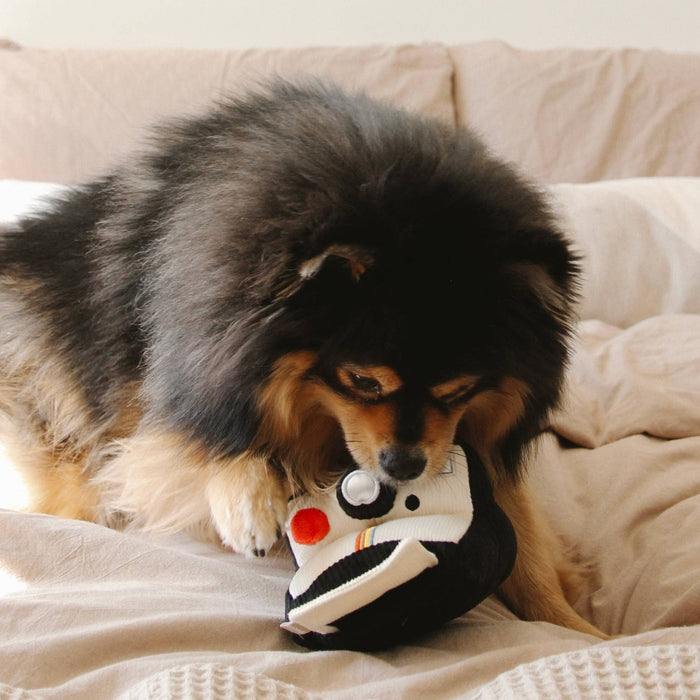 INSTANT CAMERA // ENRICHMENT DOG TOY // SNUFFLE TOYToysFound My Animal