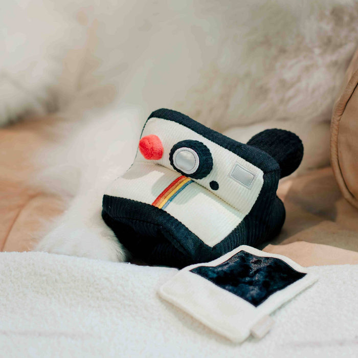 INSTANT CAMERA // ENRICHMENT DOG TOY // SNUFFLE TOYToysFound My Animal