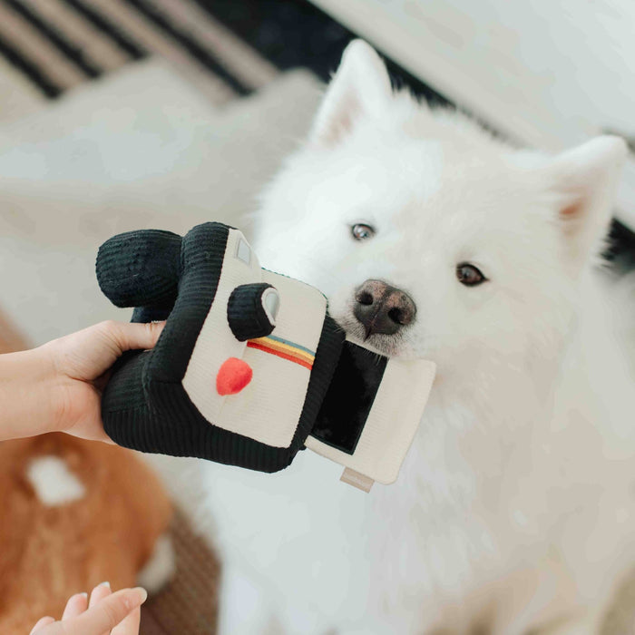 INSTANT CAMERA // ENRICHMENT DOG TOY // SNUFFLE TOYToysFound My Animal