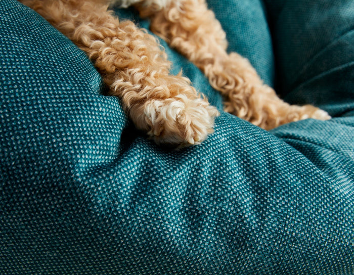 Jadebud Donut BedDog BedsFound My AnimalSmall