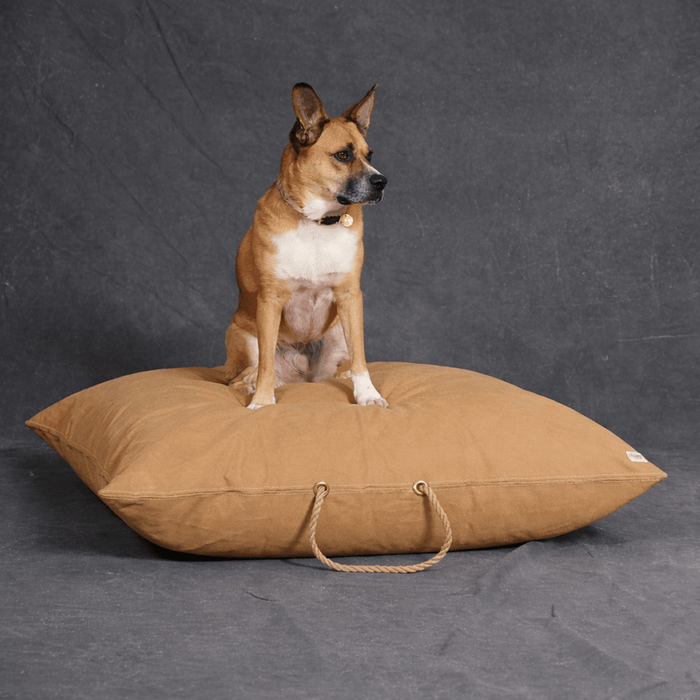 Khaki Waxed Cotton Canvas Dog BedDog BedsFound My AnimalM