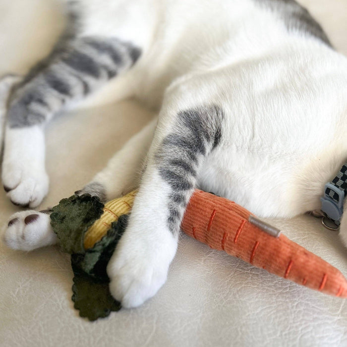 KITTY BABY CARROTS // CAT TOY // CATNIPToysFound My Animal
