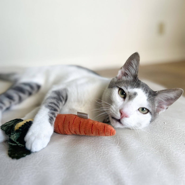 KITTY BABY CARROTS // CAT TOY // CATNIPToysFound My Animal