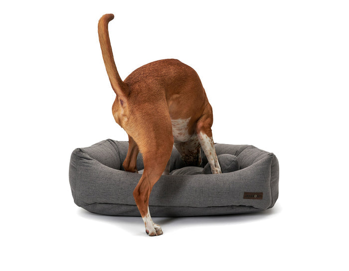 Lark Graphite Napper BedDog BedsFound My AnimalSmall