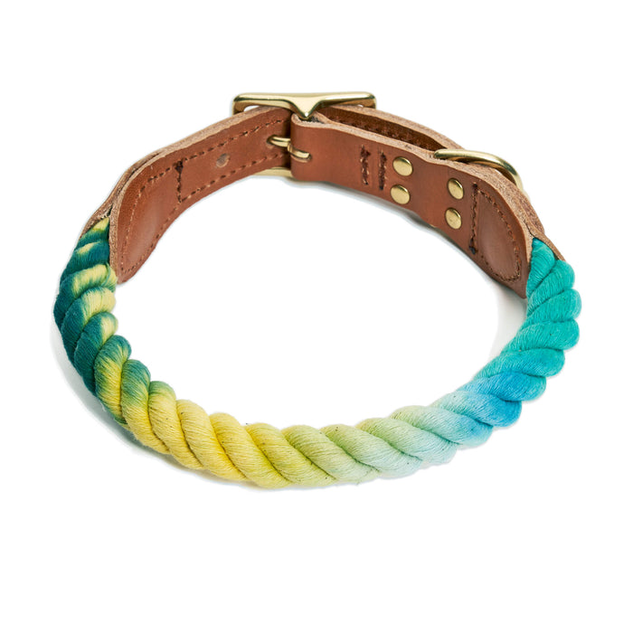 Leash & Collar Bundle + Dog PouchFound My Animal