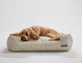 Lolly White Lounge BedDog BedsFound My AnimalSmall