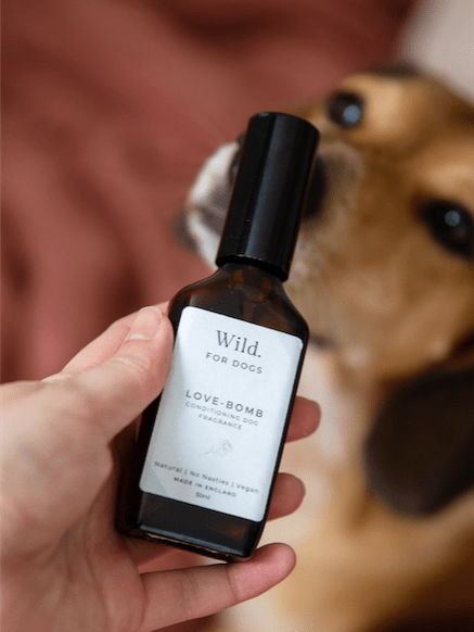 Love-Bomb Dog FragranceWellnessFound My Animal50ml Love-Bomb Fragrance