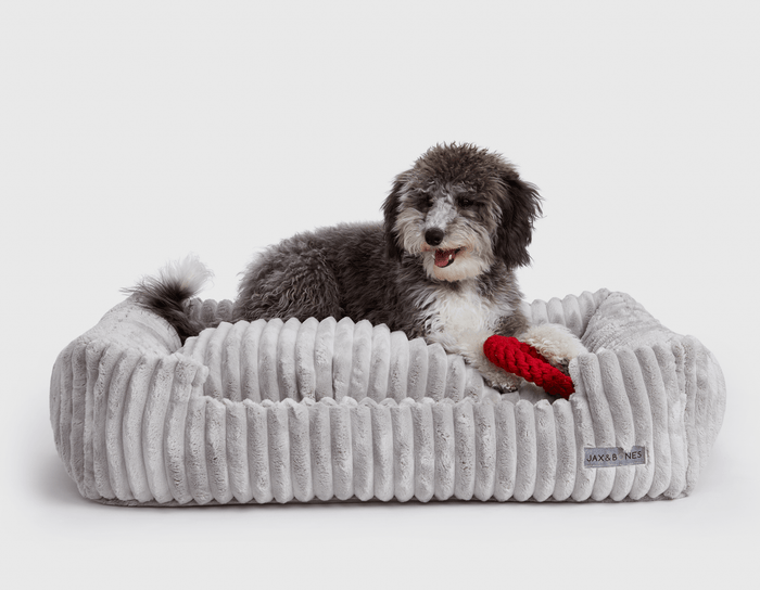 Luna Grey Lounge BedDog BedsFound My AnimalSmall