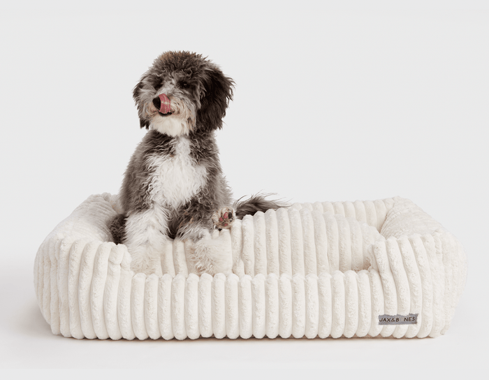 Luna Ivory Lounge BedDog BedsFound My AnimalSmall
