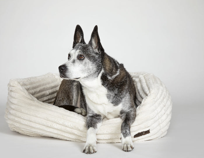 Luna Ivory Napper BedDog BedsFound My AnimalSmall