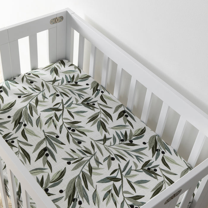Olive Branches