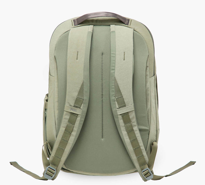Back of sage-green backpack showing padded back panel and adjustable shoulder straps