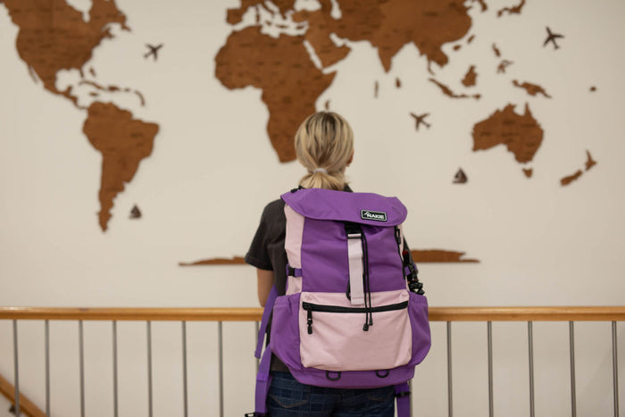 Purple and pink colorblock recycled travel backpack with roll-top closure, worn on back view.