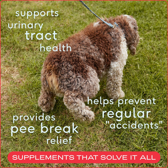 Native Pet Cranberry Bladder Chews Kidney & Urinary Supplement for DogsWellnessFound My Animal30ct