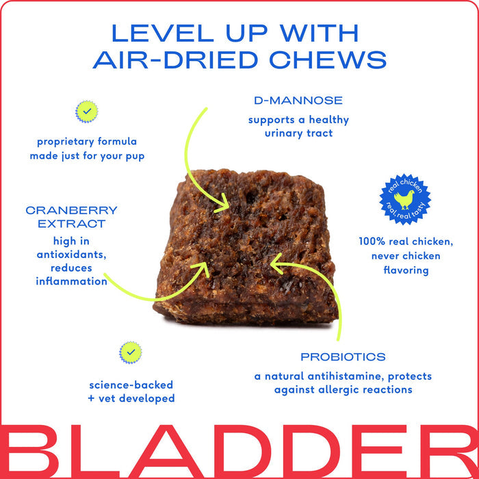 Native Pet Cranberry Bladder Chews Kidney & Urinary Supplement for DogsWellnessFound My Animal30ct