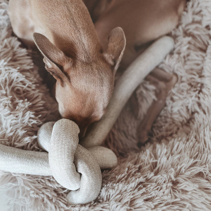NOU // Gray // Crinkle clusters // ENRICHMENT DOG TOYToysFound My Animal