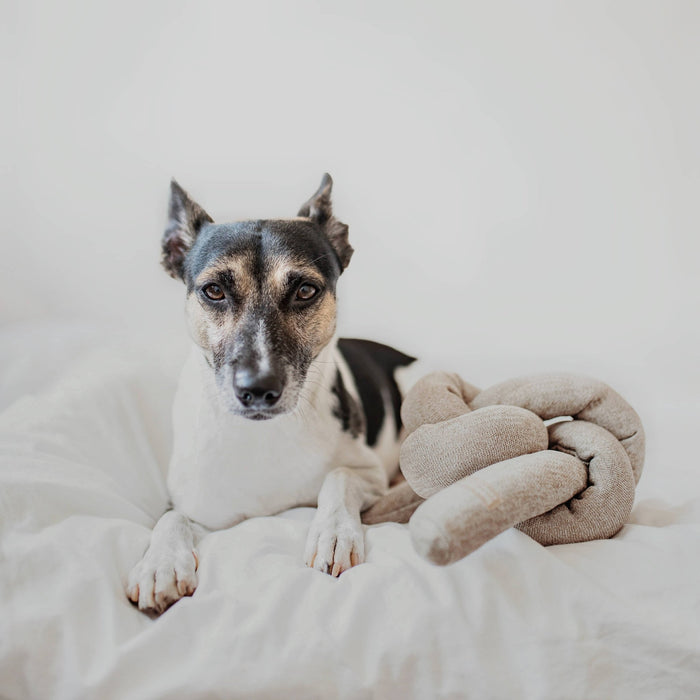 NOU // Gray // Crinkle clusters // ENRICHMENT DOG TOYToysFound My Animal
