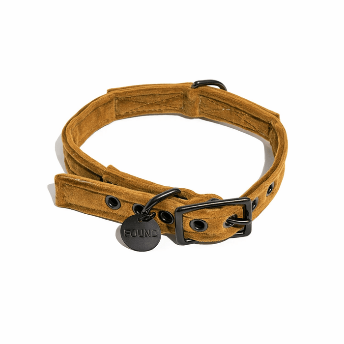 Ochre Washable Velvet Cat & Dog Collar – Matte Black HardwareDog CollarsFound My AnimalXS