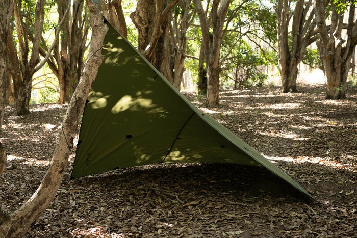 Olive ultralight tarp pitched in forest, dappled sunlight, angled view showing triangular shelter design.