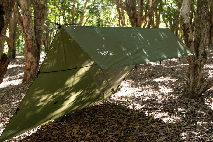 Olive ultralight tarp suspended between trees in forest setting, showing angled A-frame design with guy lines