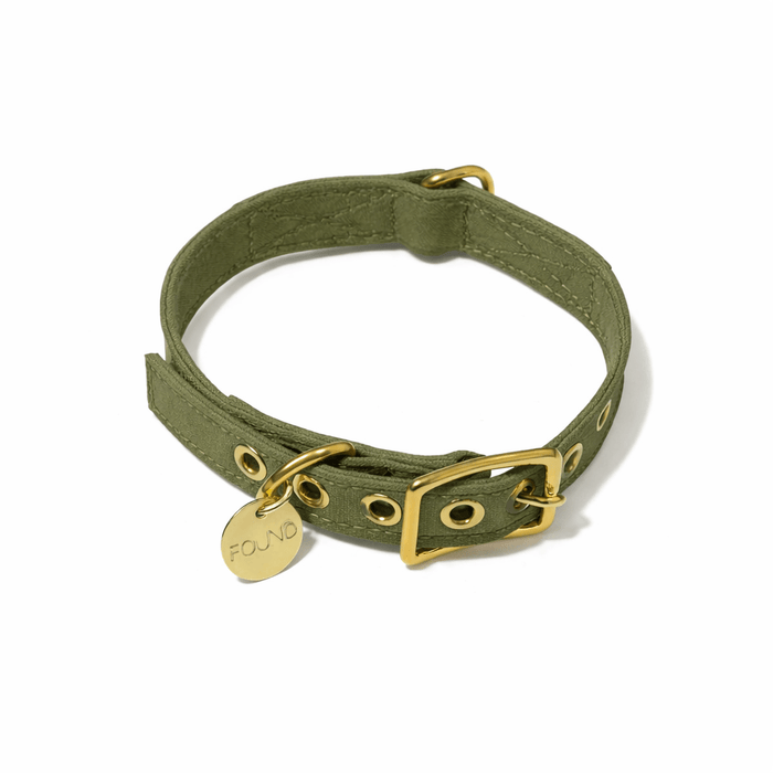 Olive Cotton Canvas Cat & Dog CollarDog CollarsFound My AnimalXS