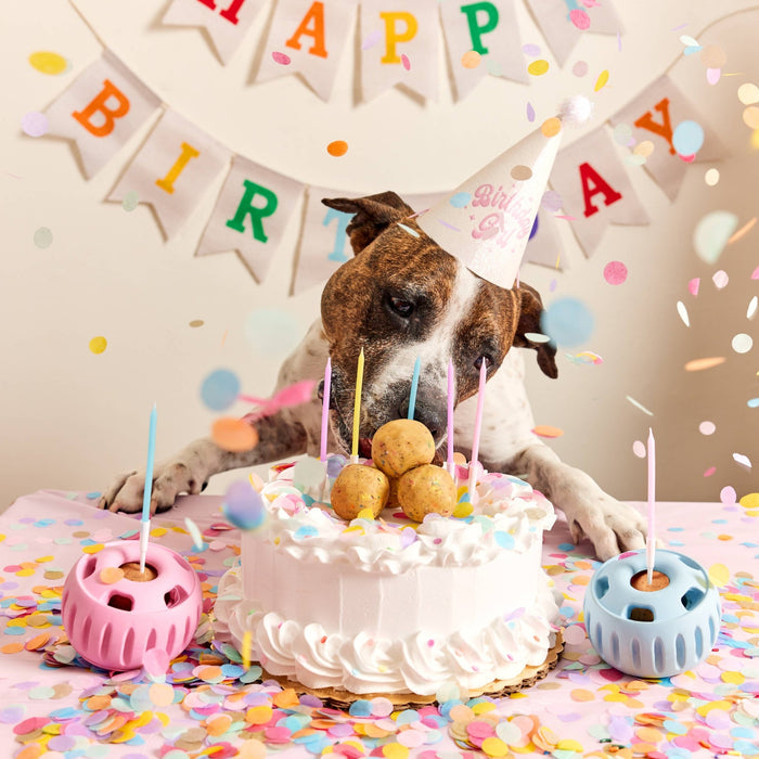 Party PupsicleDog TreatsFound My AnimalLarge